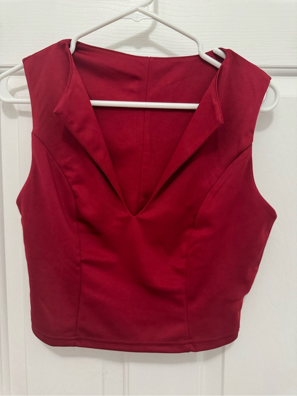 Sleeveless Deep V Crop Top in Crimson